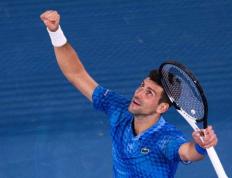 玩加电竞-德约科维奇关键节点挺进下一轮，IG带队取胜！的简单介绍